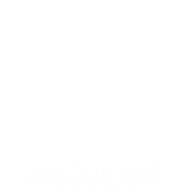 Seguro Seus Negcios